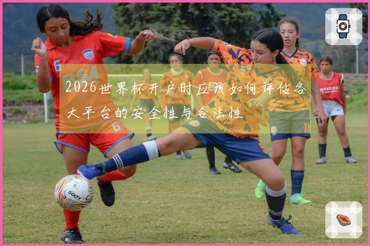 2026世界杯开户时应该如何评估各大平台的安全性与合法性
